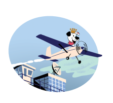 flight-funko